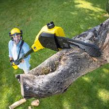 Best Hazardous Tree Removal  in Herlong, CA